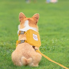  Tragerucksack Für Haustiere Hunderucksack Geschirr Hundekabelbaum