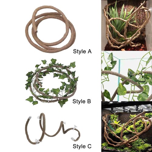 Reptile vines jungle - reptile,
