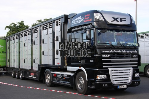 Lkw foto daf - foto, 105.510