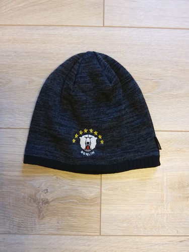 Eisbären berlin meister - eisbären,
