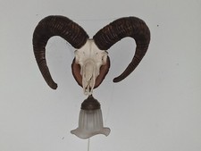 Wandlampe Jagd-Trophähe mit