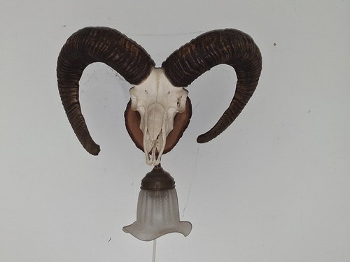 Wandlampe jagdlampe trophähe - wandlampe,