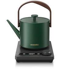 Arendo Wasserkocher Retrodesign 0,6L Digitale Basisstation 1000W Edelstahl Grün