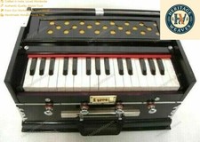 Indisch Musikinstrument