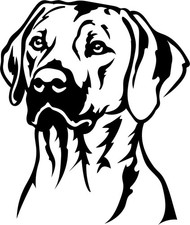 Rhodesian ridgeback aufkleber - ridgeback,