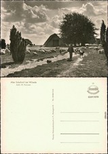 Ansichtskarte Wilsede-Bispingen Alter Schafstall, Mann mit Schafe 1960
