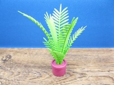 Zimmerpalme Palme Zubehör