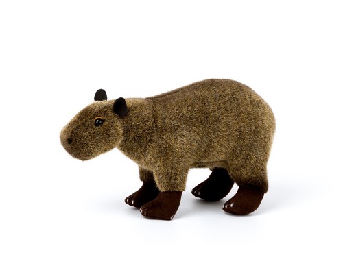 Kösen capybara - kösen,