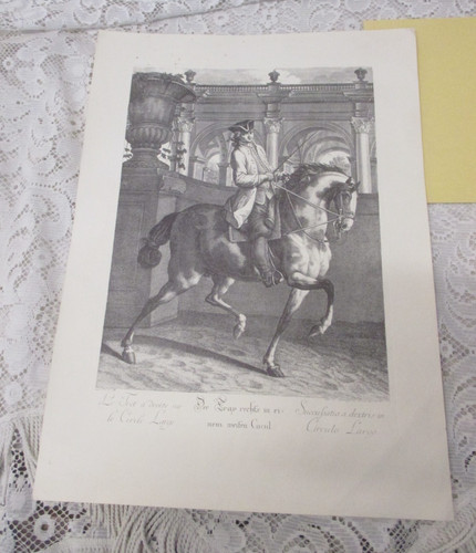 Johann elias ridinger - johann,