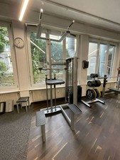 Gym80 Sygnum Chin Dip Assisted