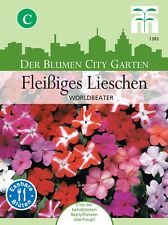 Fleißiges Lieschen 'Worldbeater' - Impatiens walleriana, Topf&Ampel, Samen, 1383