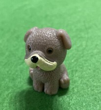 Hund Tier Garten Landschaft