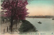 PC OSAKA CHERRY BLOSSOMING