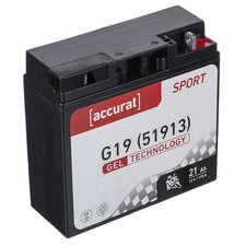 Motorradbatterie 51913 Gel G19