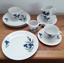 13 teiliges Kaffeeservice