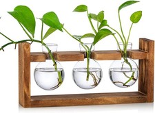 Glas-Terrarium Tischdeko-Set: 3 Glasvasen + Holzständer – Naturmaterialien