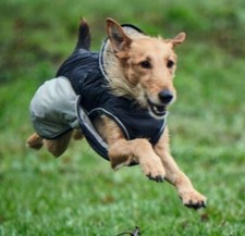 Hunter hundemantel - ❤️,
