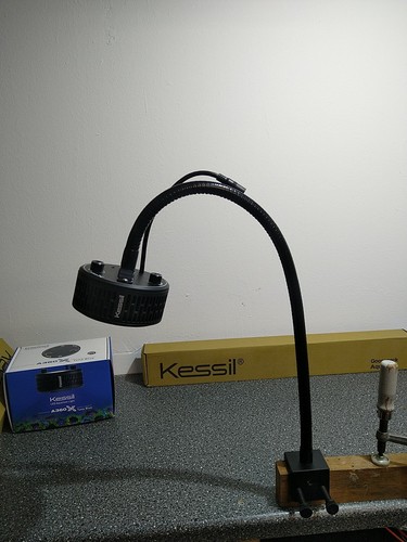 Kessil schwanenhals - 1x,