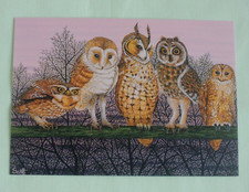 1x Postkarten Pat Scott Eulen