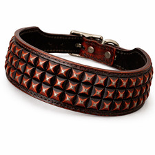 Breites Hundehalsband aus