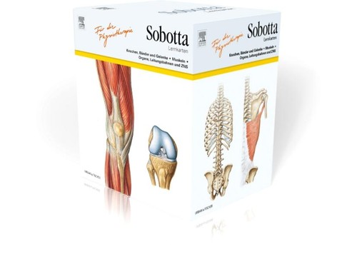 Sobotta lernkarten für - sobotta,