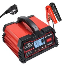 40A Batterie Ladegerät