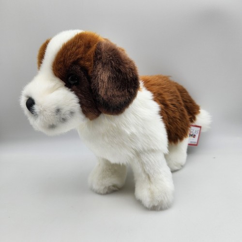 Douglas bernhardiner hund - hund,