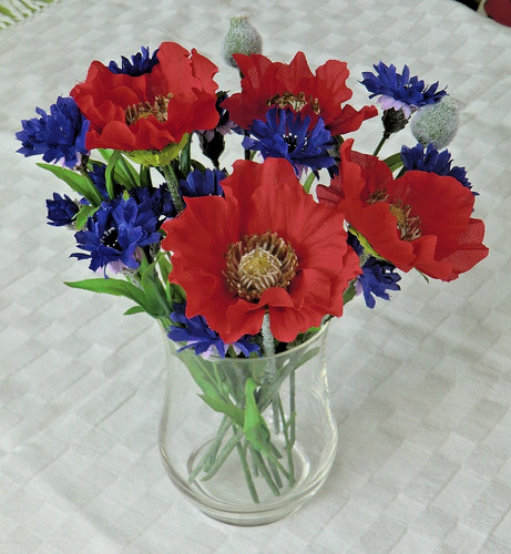 ✿Kornblumen✿Mohnblumen✿S