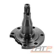 ACHSZAPFEN ACHSSCHENKEL HINTEN