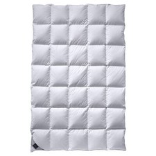 billerbeck Almira 302