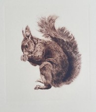 Kurt Meyer-Eberhardt –