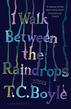 I Walk Between the Raindrops |