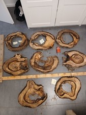 Hohle Nussbaum Baumscheibe ca40x3/4cm Holzscheibe Loch Bastelholz Heimwerken DIY