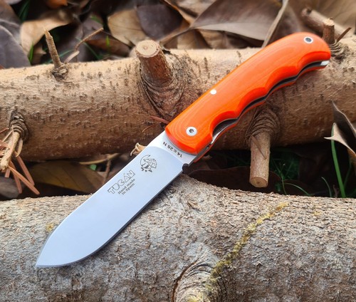 Forester tucan naranja - forester,