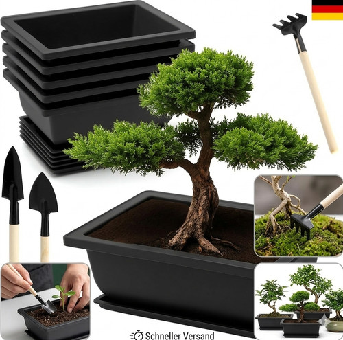Stück bonsai schale mit - 6,
