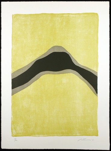 Fiume notturno 1970 grosse - notturno",