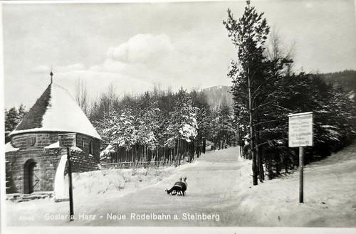 Goslar rodelbahn steinberg - rodelbahn,