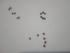 6 zufällig ausges echte Granat, garnet rund round facet, ca 1,9mm orange-brown b