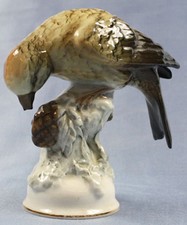 Kreuzschnabel Vogel porzellan