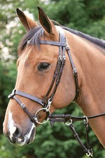 Dyon Trense DY Training Snaps