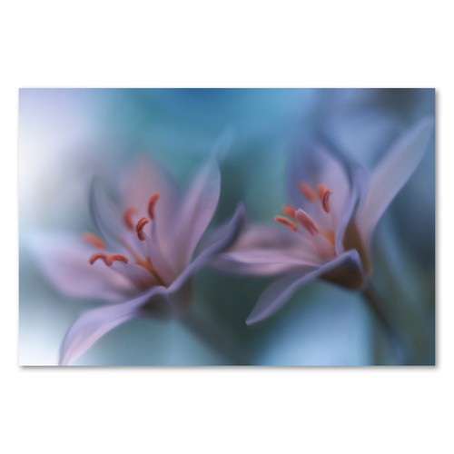 Postereck 3805 poster leinwand - 3805,