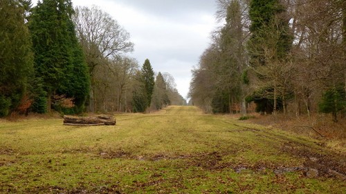 Photo 6x4 cirencester park - 6x4, 17