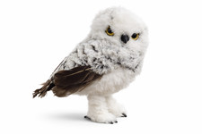 Schneeeule hedwig deko eule - schneeeule,