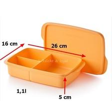 Tupperware Pausenbox