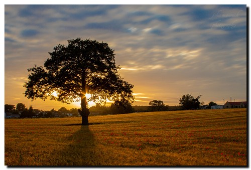 Sonnenuntergänge und