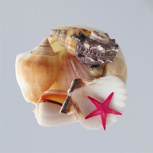 Muschelset yemaya oshun 8 - yemaya,