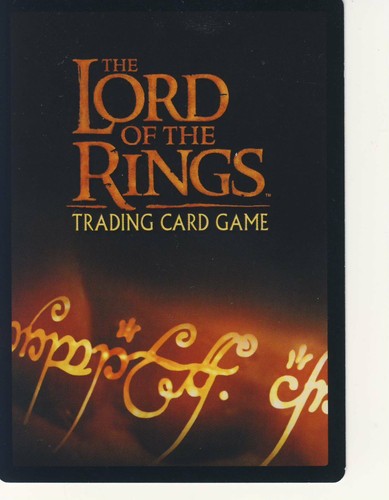 Herr der ringe - herr, ccg