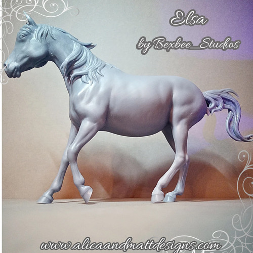 Araberstute elsa von - araberstute,