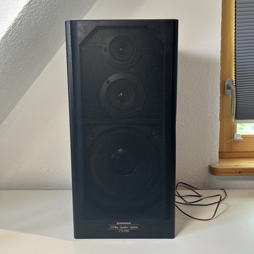 Pioneer wege - pioneer, 3