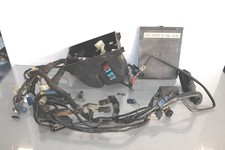 Kabelbaum Hauptkabelbaum